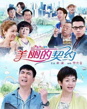 美丽契约演员表,实力派演员阵容演绎情感纠葛